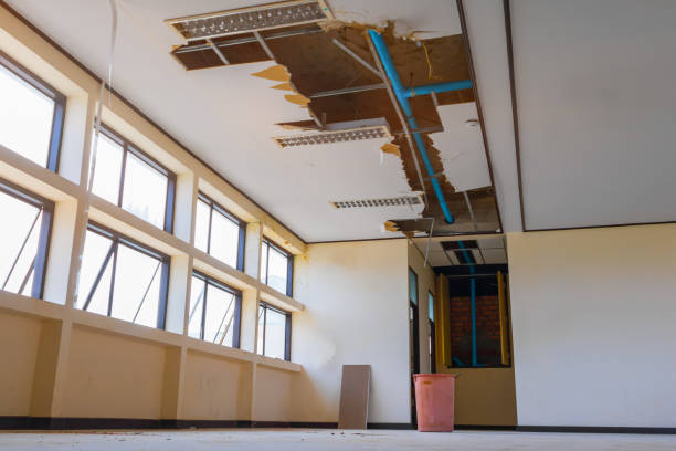 Best Flood restoration services  in Tye, TX