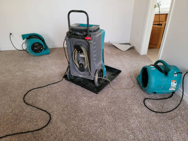 Best Basement water damage restoration  in Tye, TX