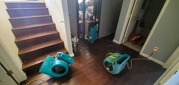 Best Sewage cleanup and water damage restoration  in Tye, TX