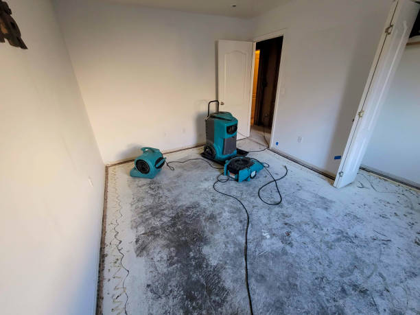 Best Water damage cleanup near me  in Tye, TX