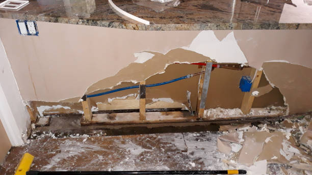 Best Professional water damage repair  in Tye, TX