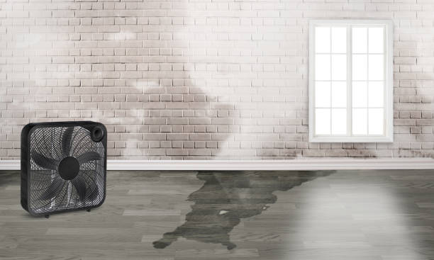 Best Flood restoration services  in Tye, TX