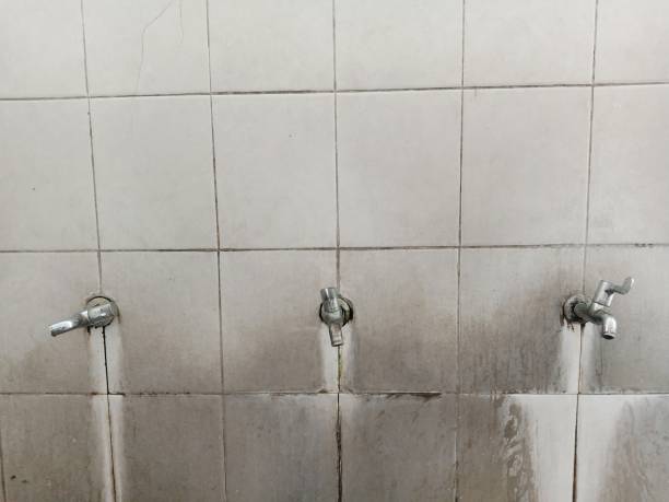 Best Flood damage cleanup  in Tye, TX