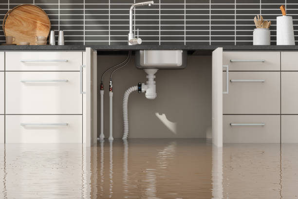 Best Flooded house restoration  in Tye, TX