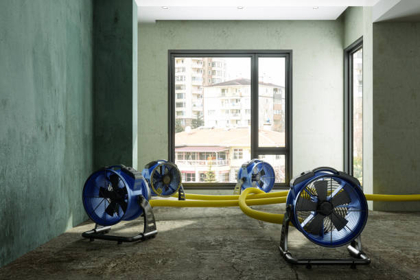 24/7 water damage repair in Tye, TX